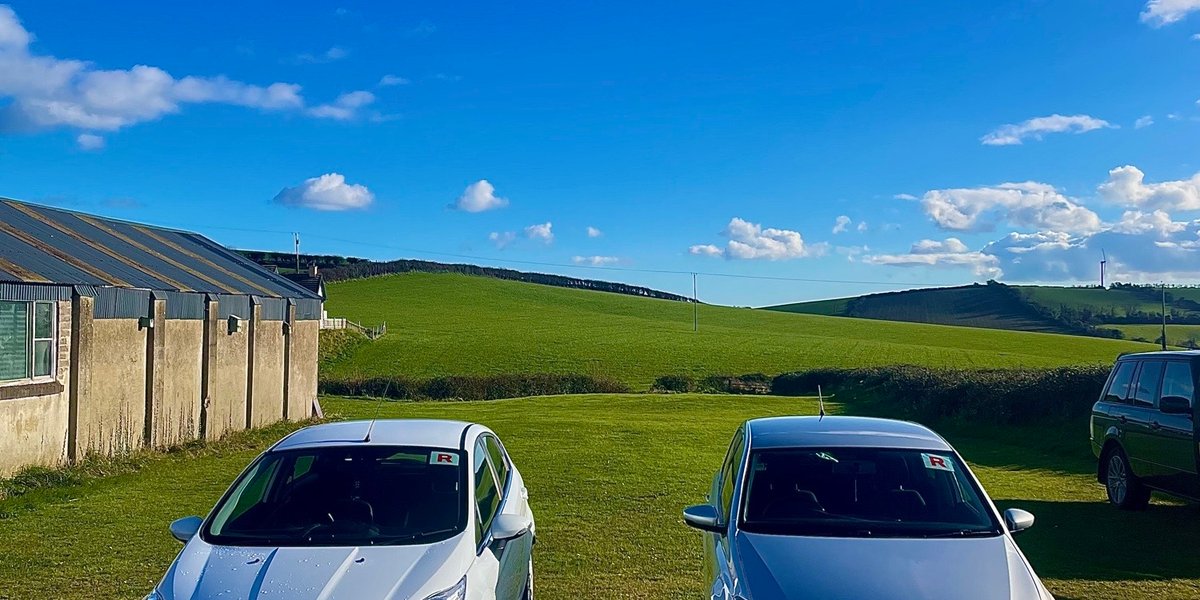 Fiesta X Polo