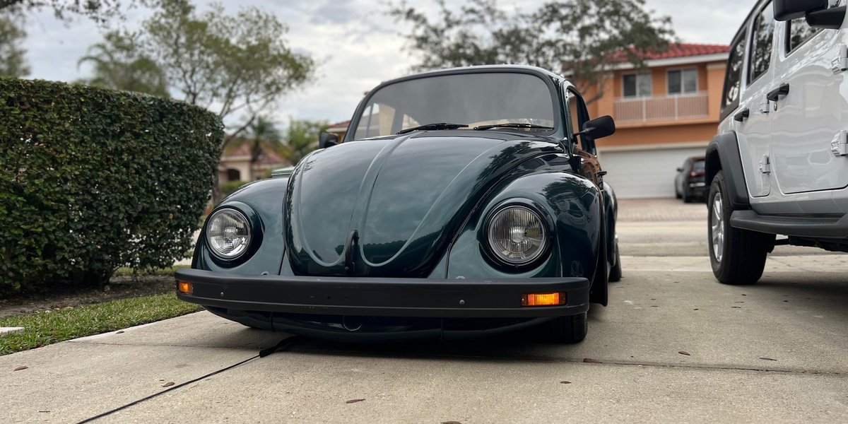Lupe: the Mexican beetle