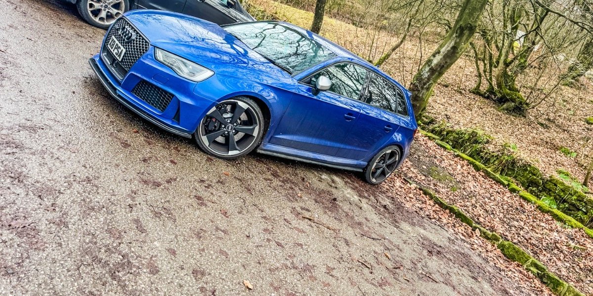 rs3